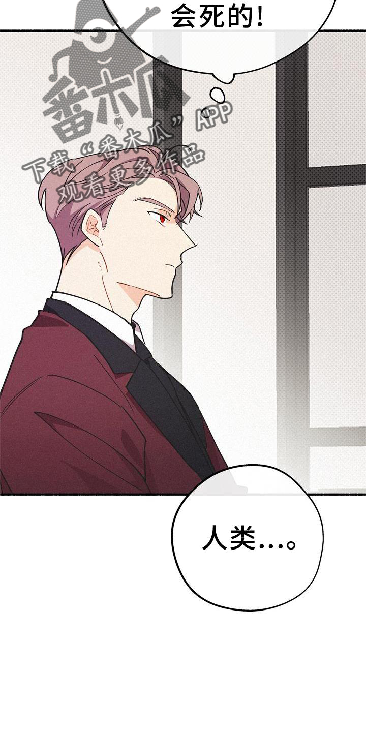 第36章：混血24
