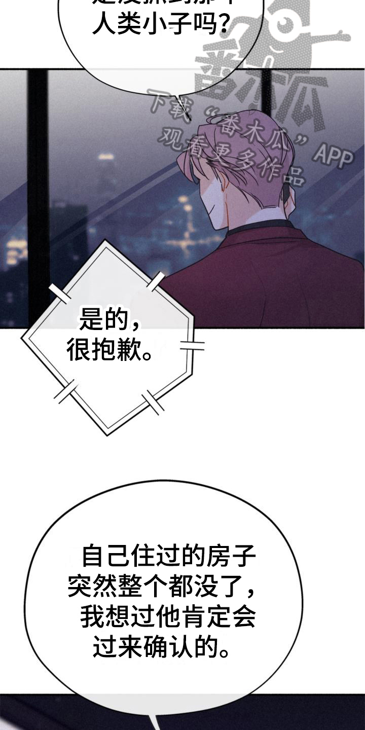第13章：安排12