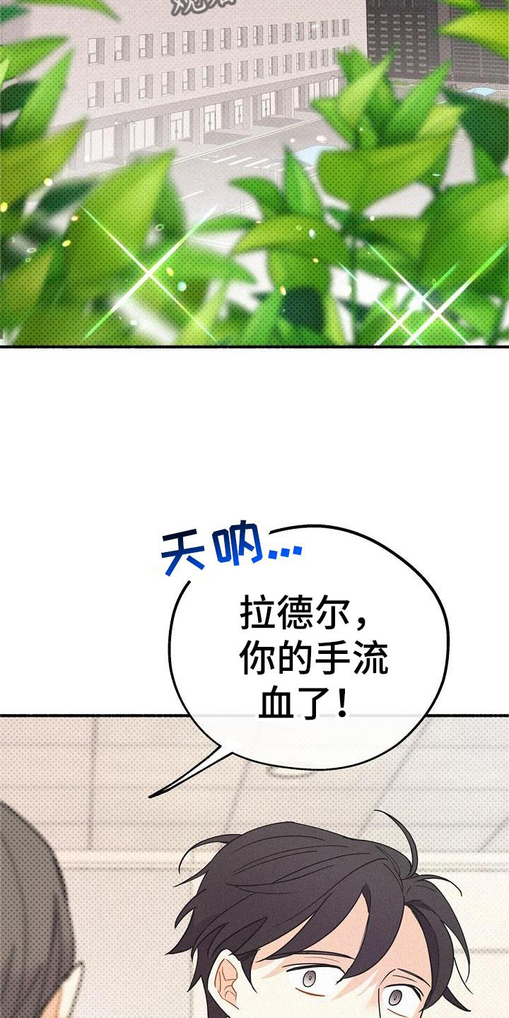 第40章：创伤21