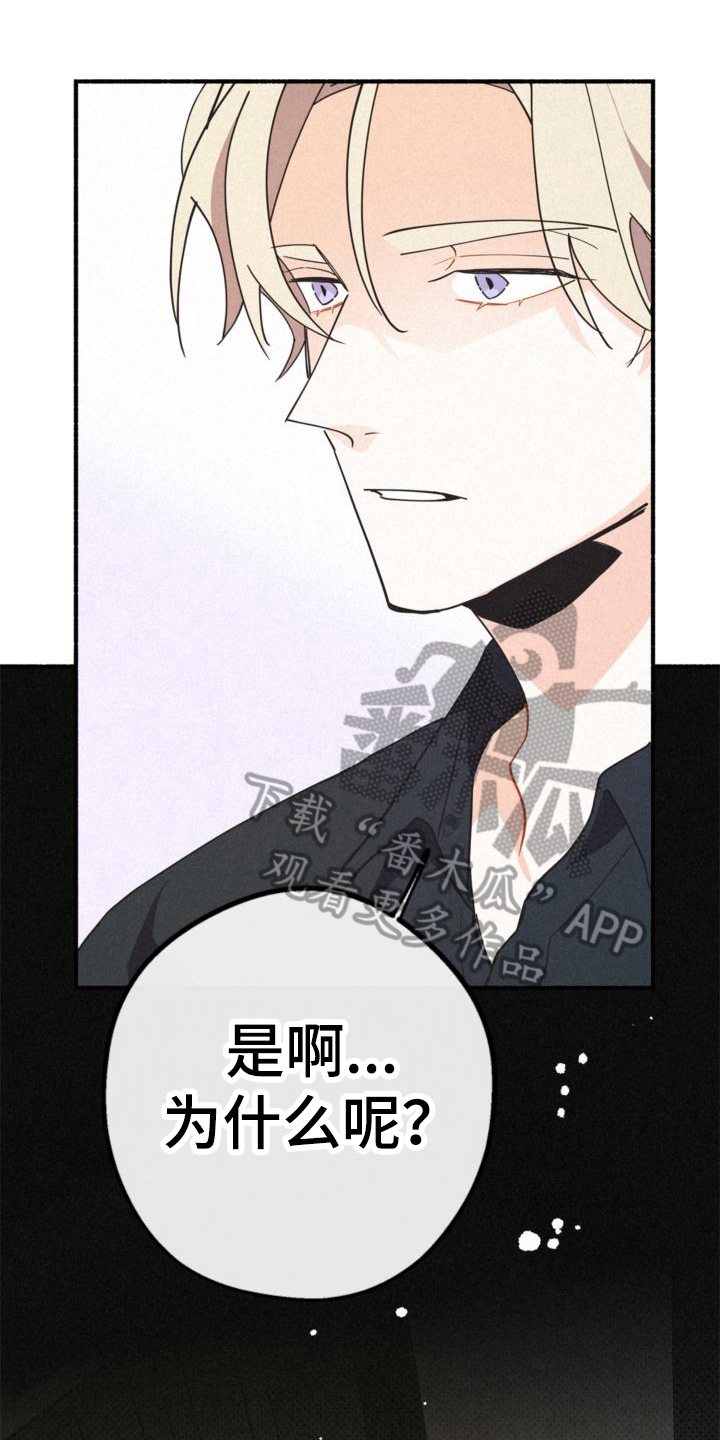 第27章：年龄19