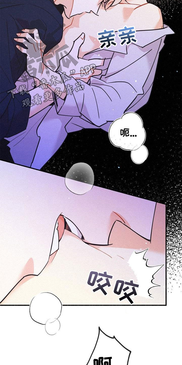 第47章：调查6