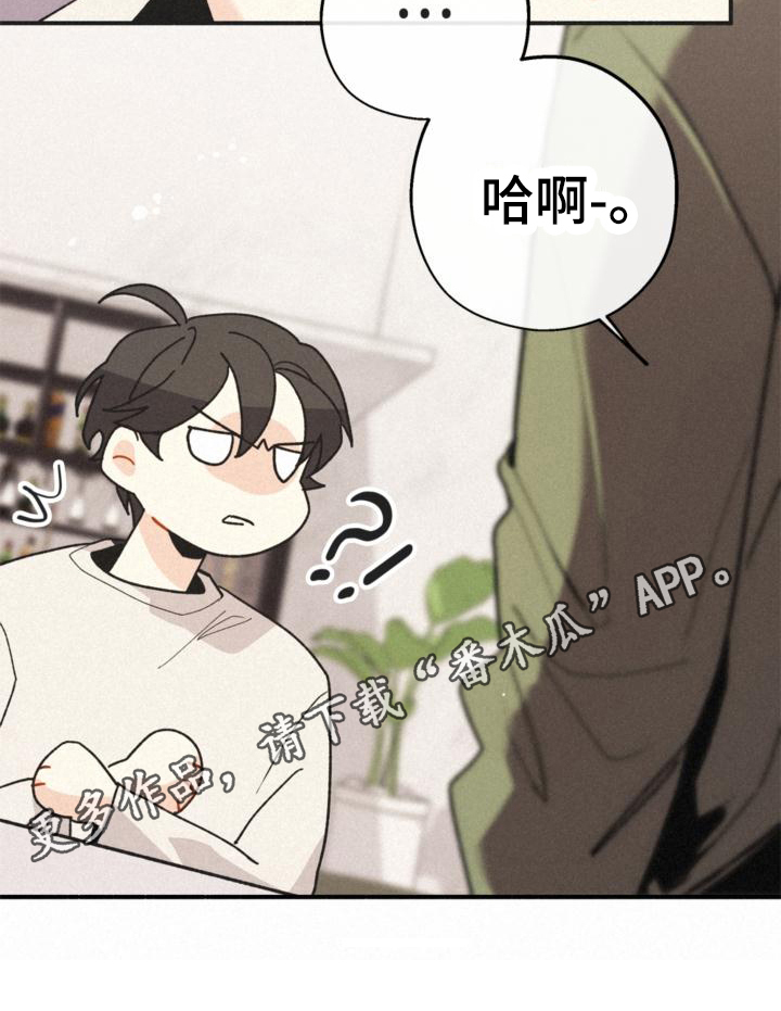 第16章：不知道19