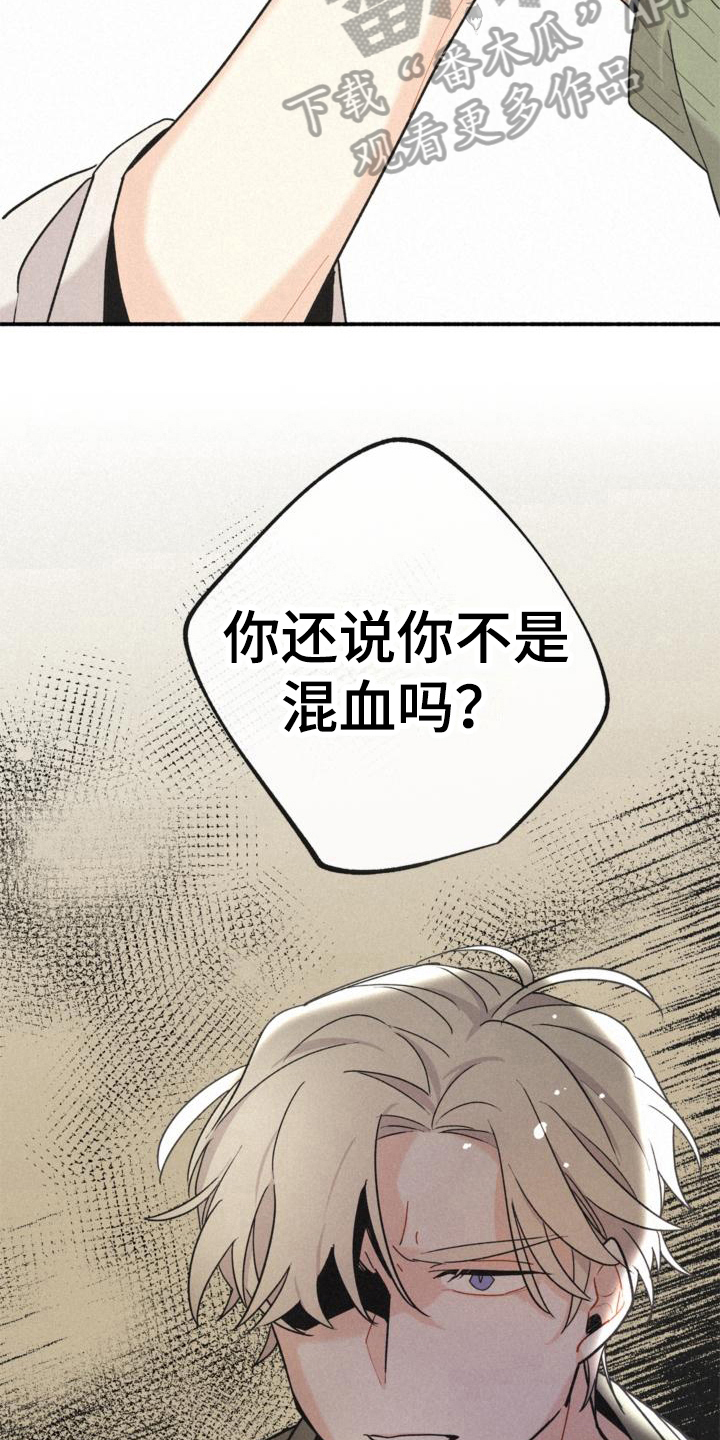 第16章：不知道6