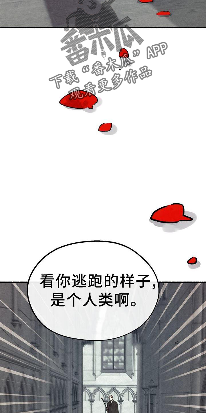 第38章：拯救16