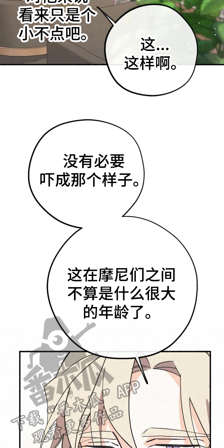 第27章：年龄2