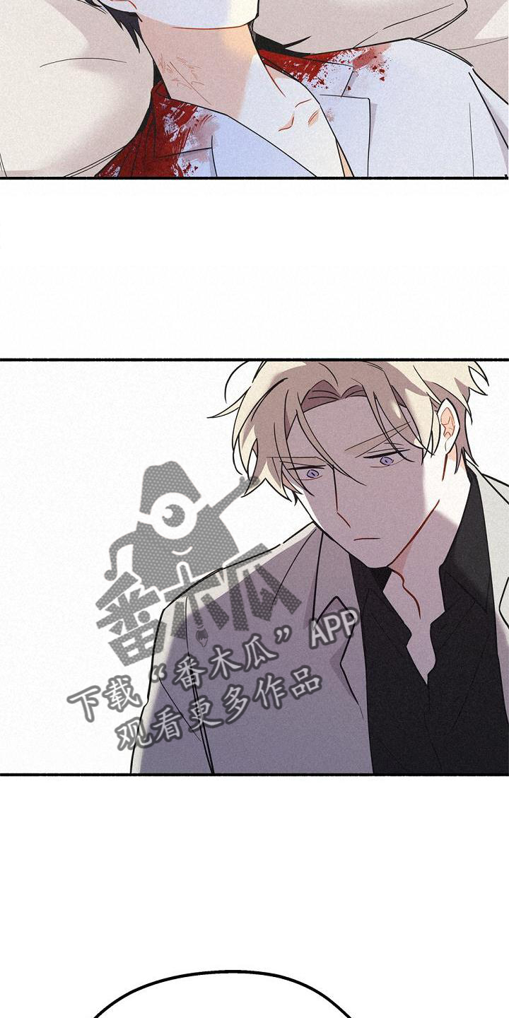 第36章：混血17