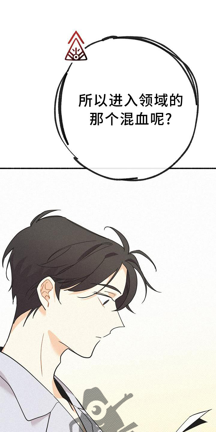 第33章：暗杀26