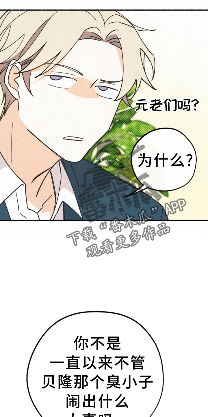 第62章：关系1