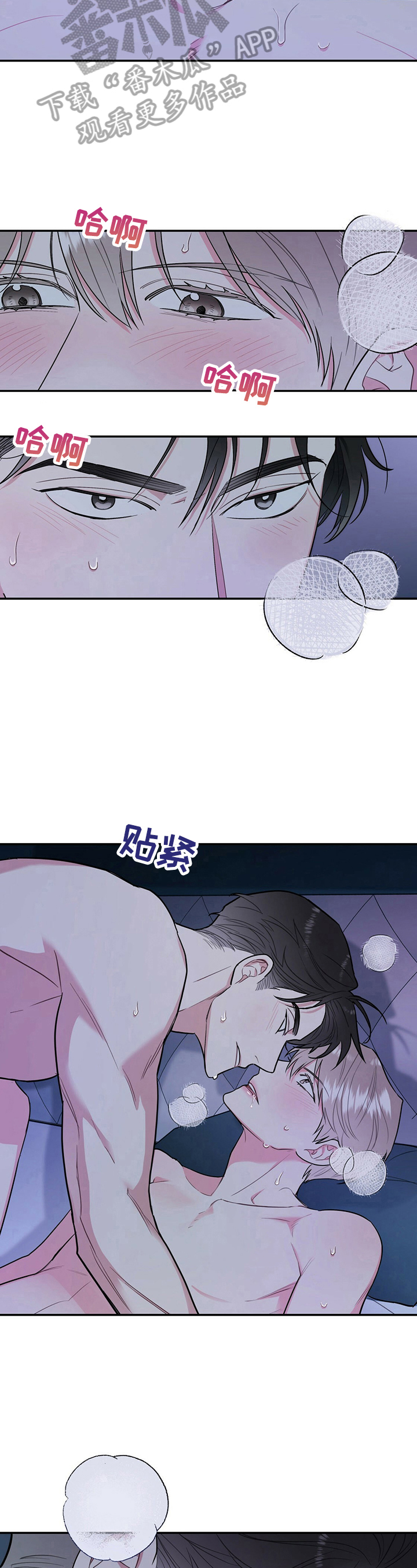 第17章：喜欢9