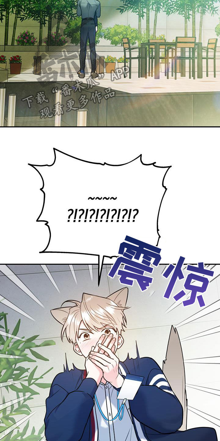 第85章：【第二季】偷偷跟踪22