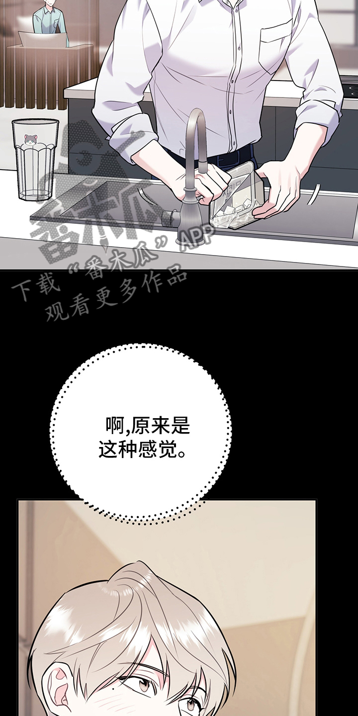 第71章：【第二季】成年人的爱情18