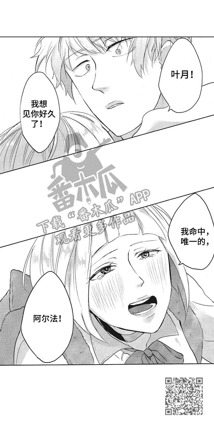 第9章：丢脸10