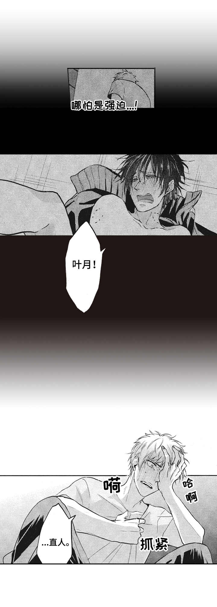第8章：柔和的味道2