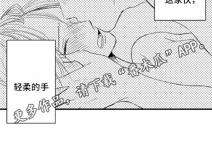 第22章：表白20