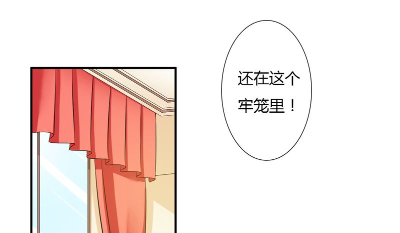 第25章：莫小黛怀孕10