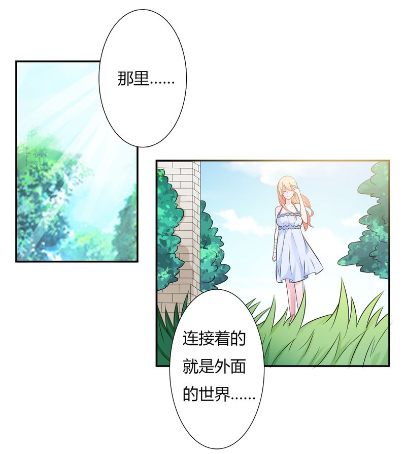 第25章：莫小黛怀孕16