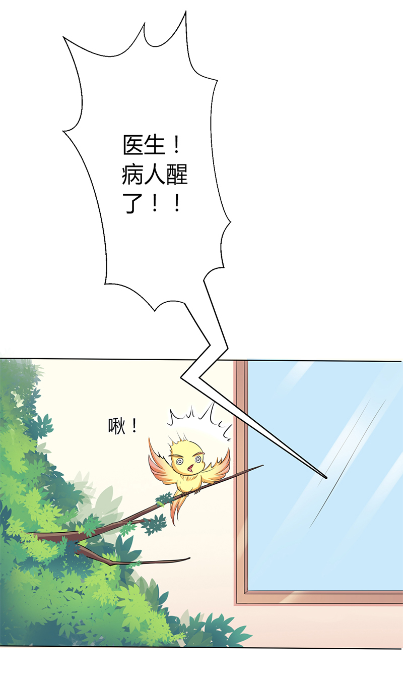 第70章：你终于醒了12