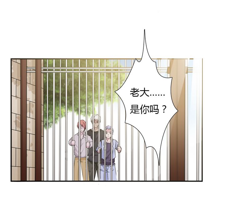 第25章：莫小黛怀孕19