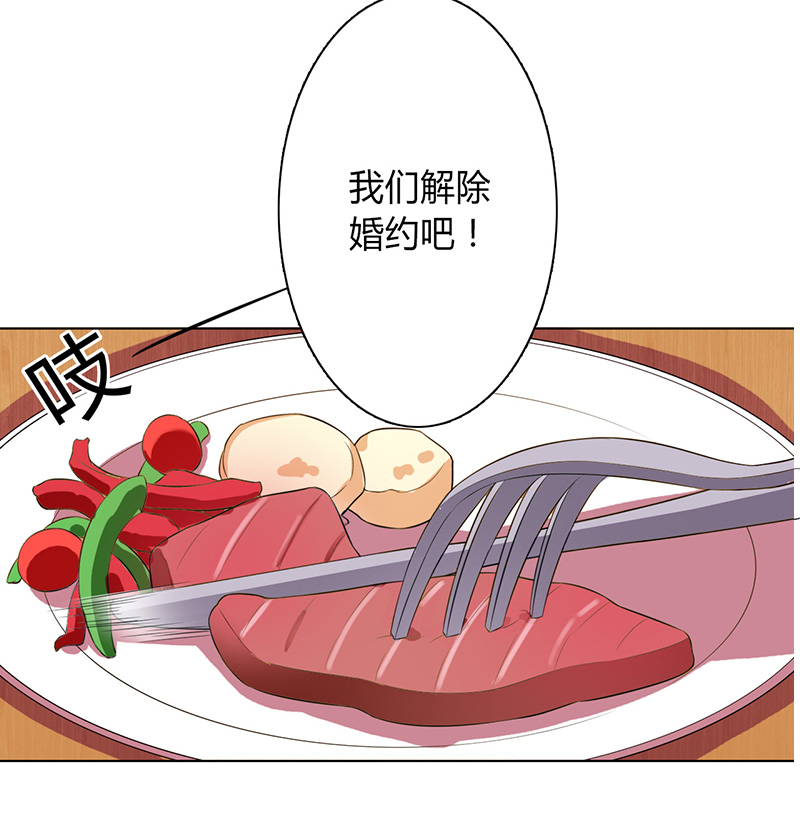 第88章：解除婚约22