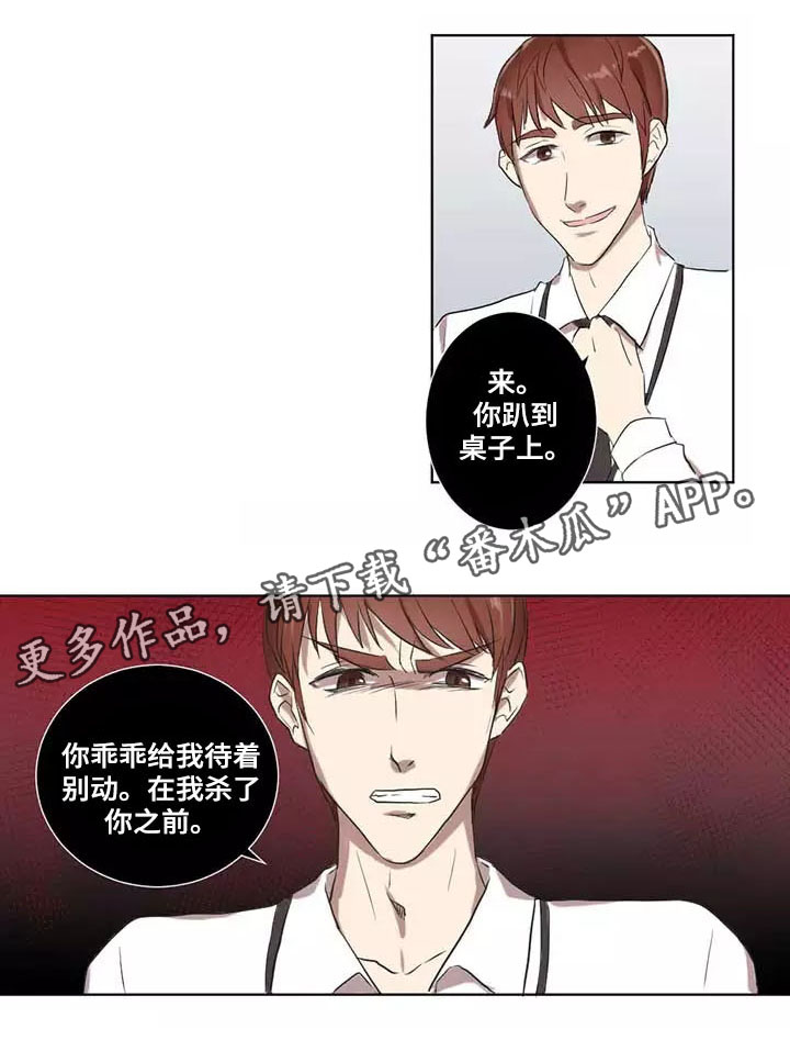 第6章：安慰12