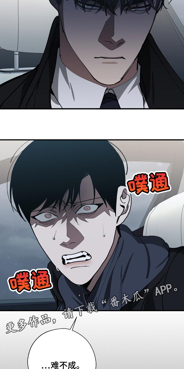 第116章：难不成是你弄的25