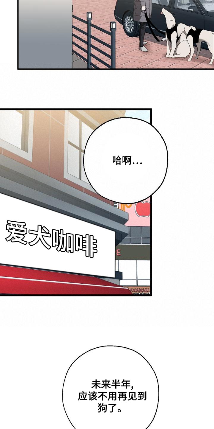 第162章：固若金汤12