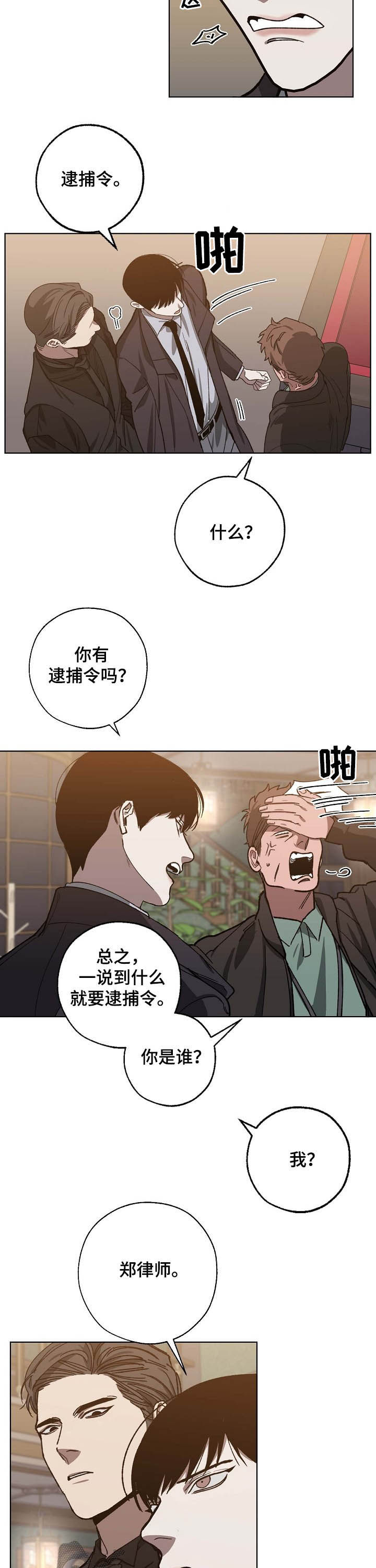 第81章：疑点重重1