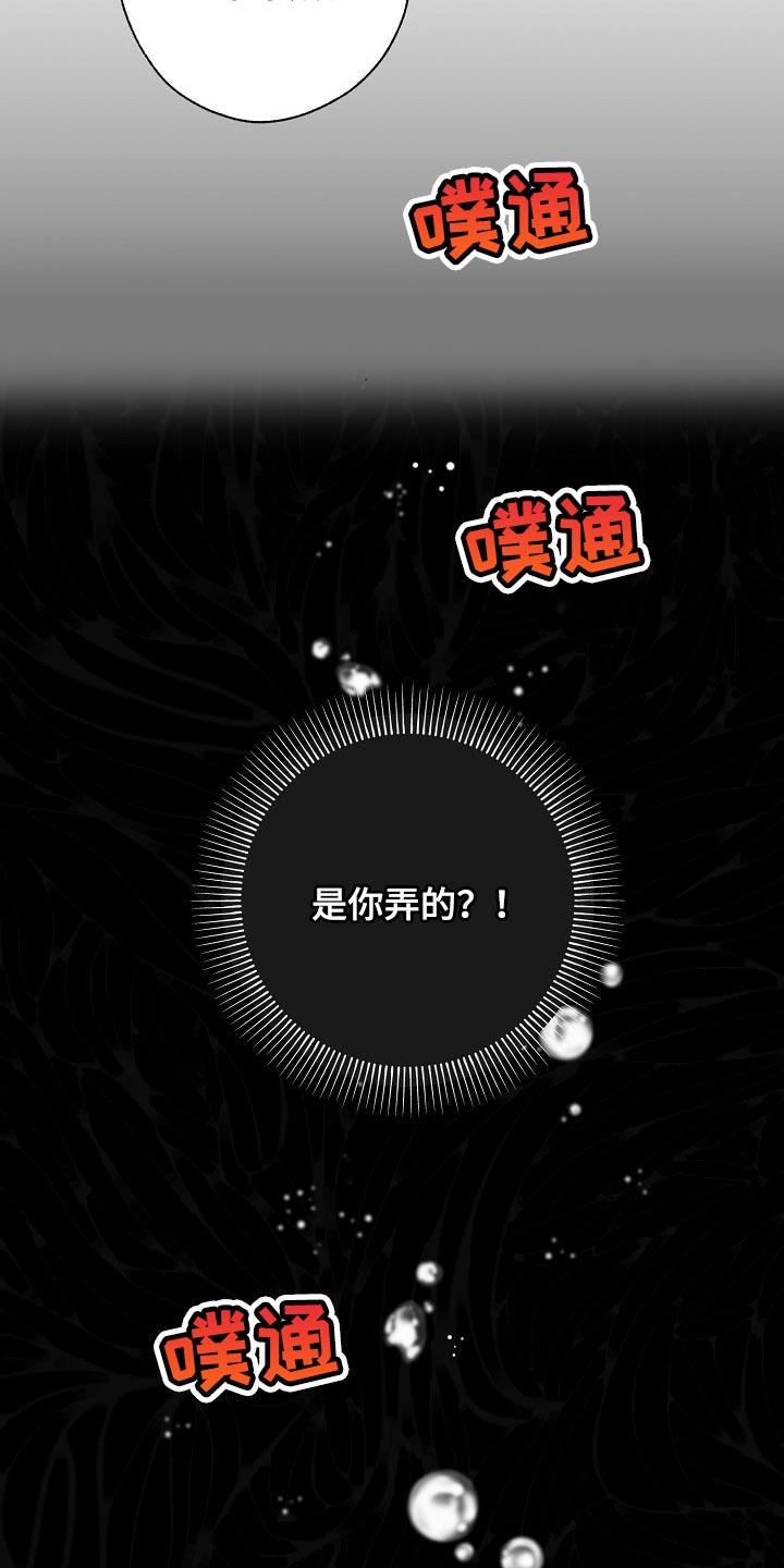 第116章：难不成是你弄的26