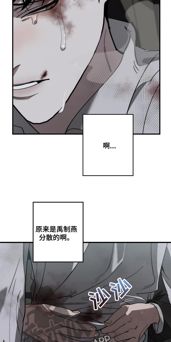 第195章：以防万一4