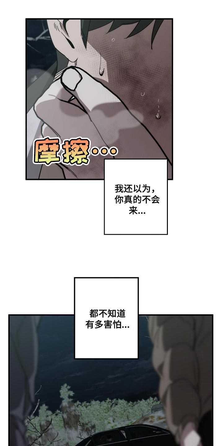第195章：以防万一11