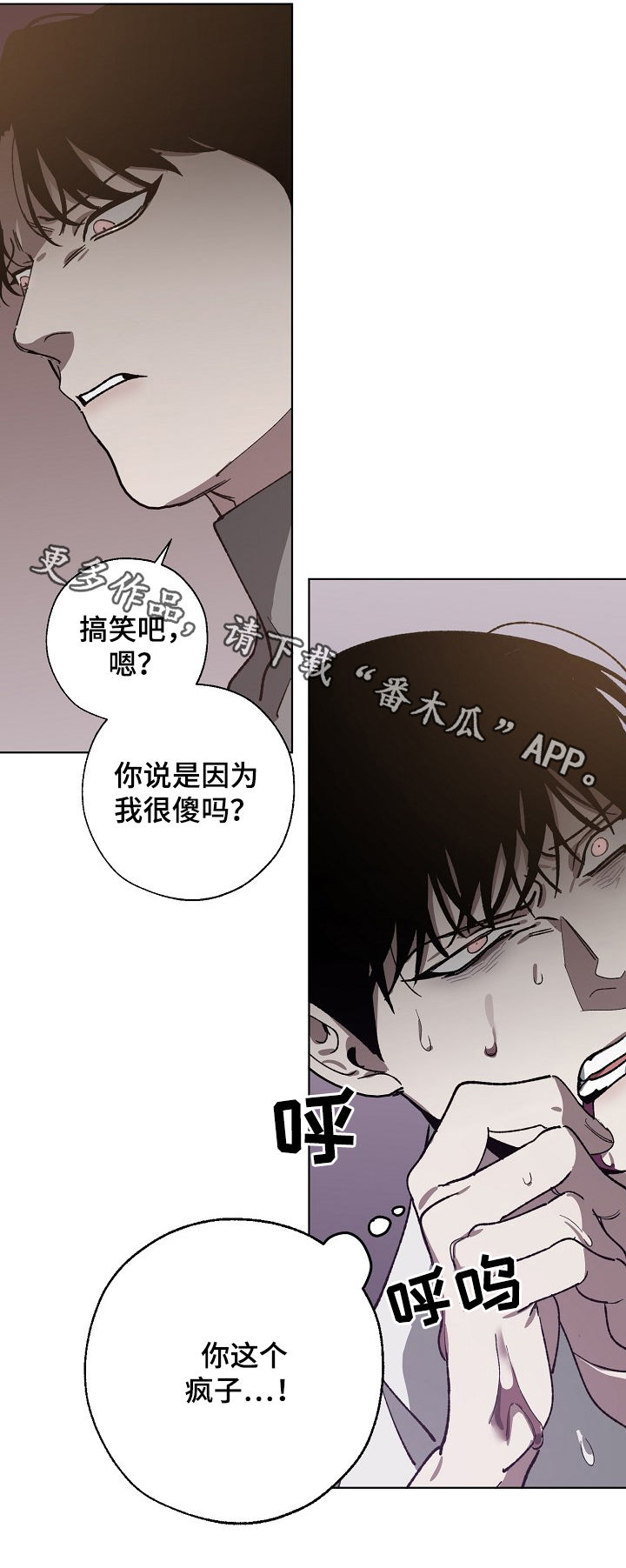 第52章：傻10