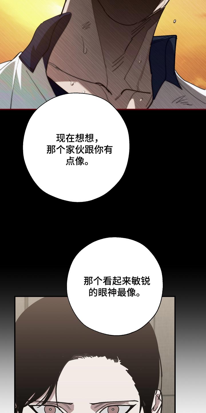第146章：对我淡一点11