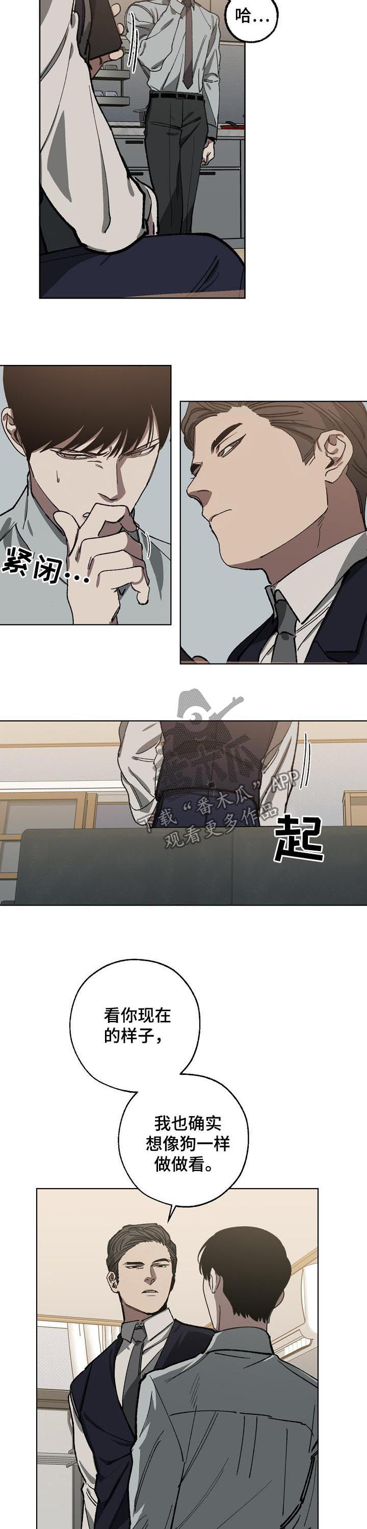 第48章：选择7