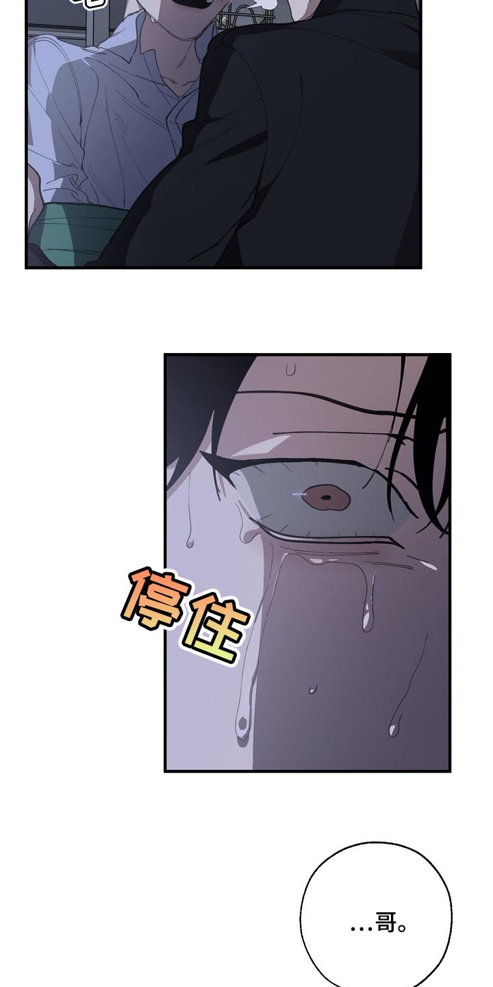 第119章：缩短时间2