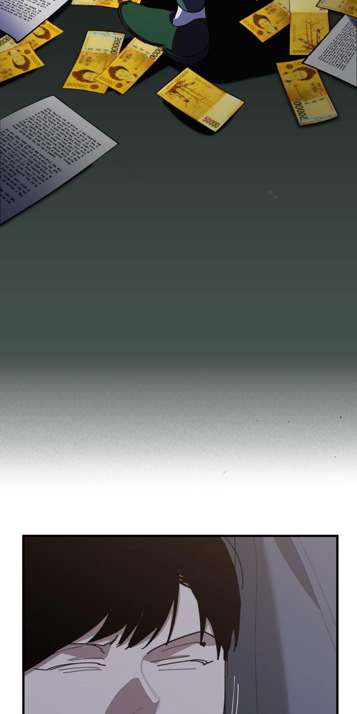 第172章：干涉投票20