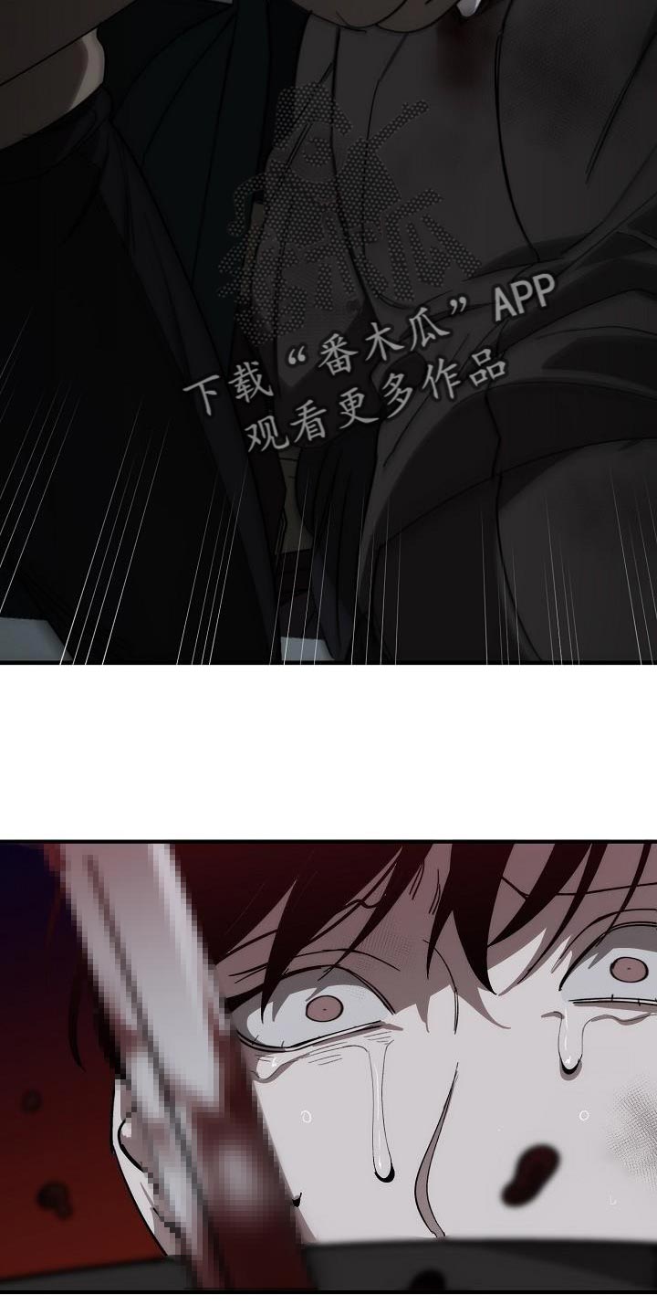 第195章：以防万一16
