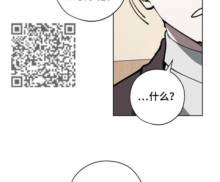 第30章：条件6