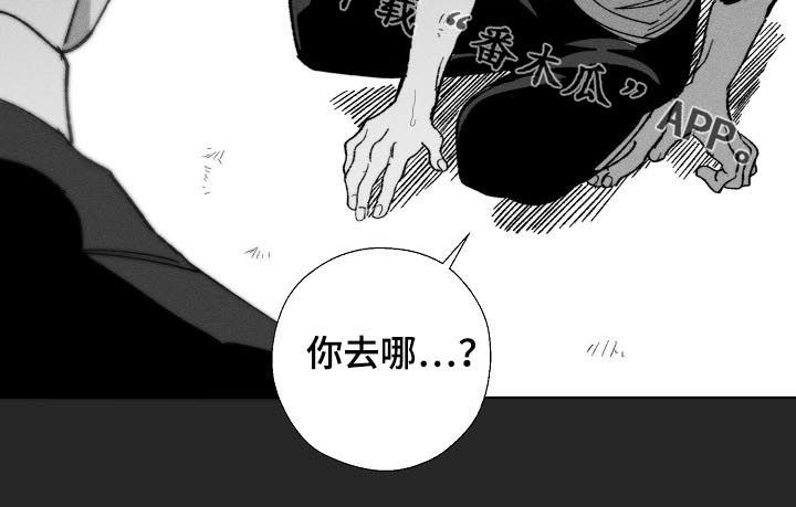 第53章：回忆9