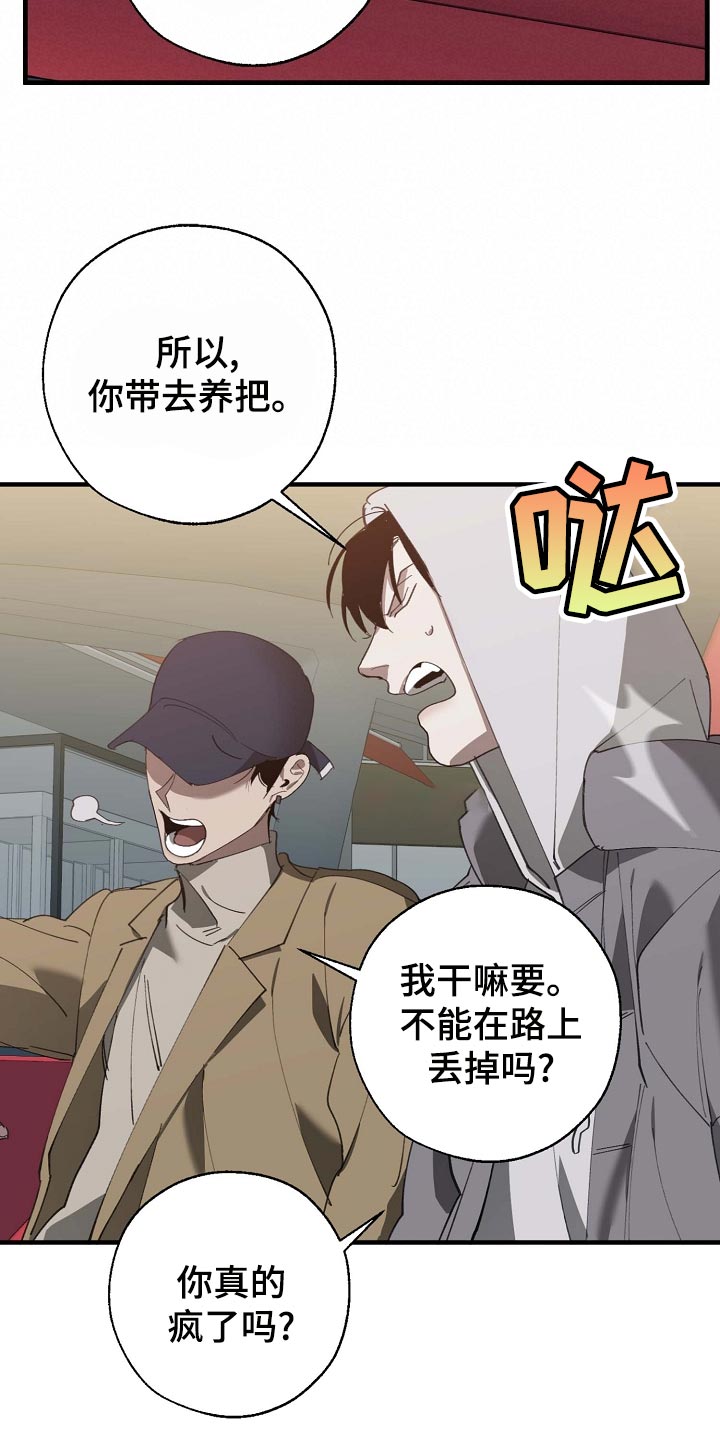 第160章：拍广告22