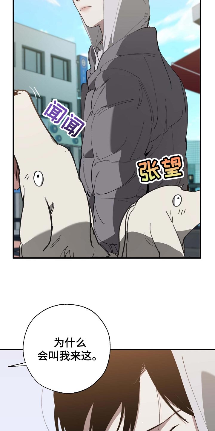 第160章：拍广告17