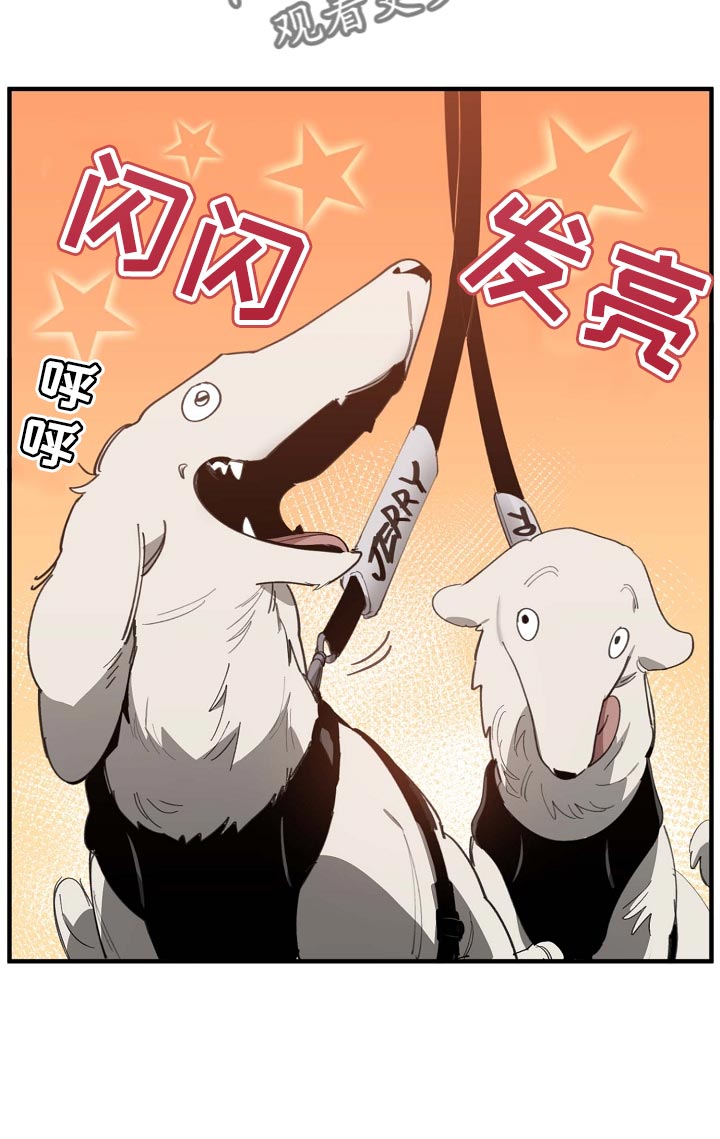 第160章：拍广告15