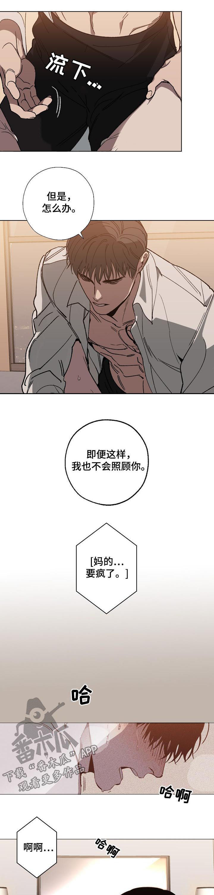 第41章：疯了5