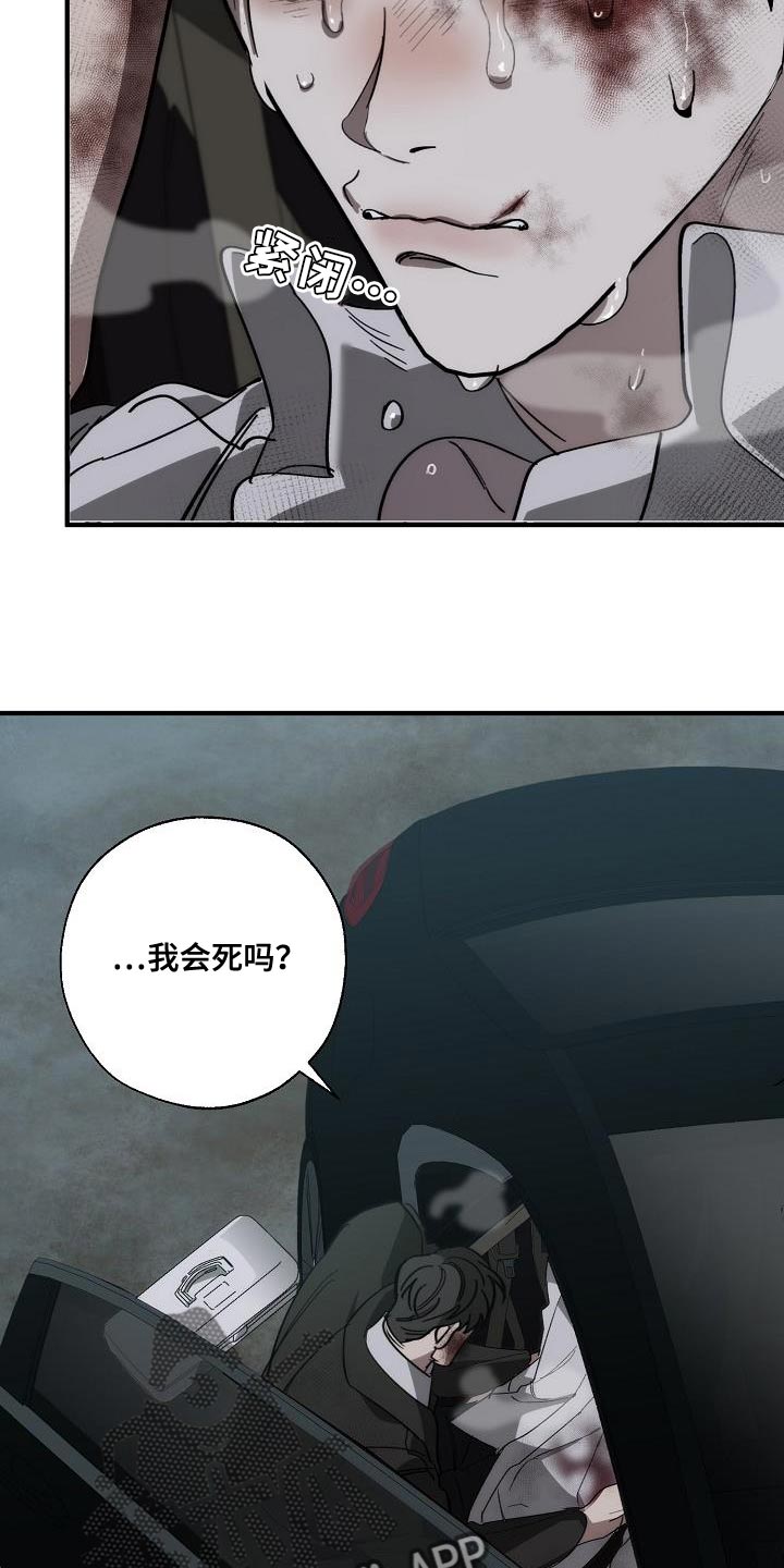 第195章：以防万一8