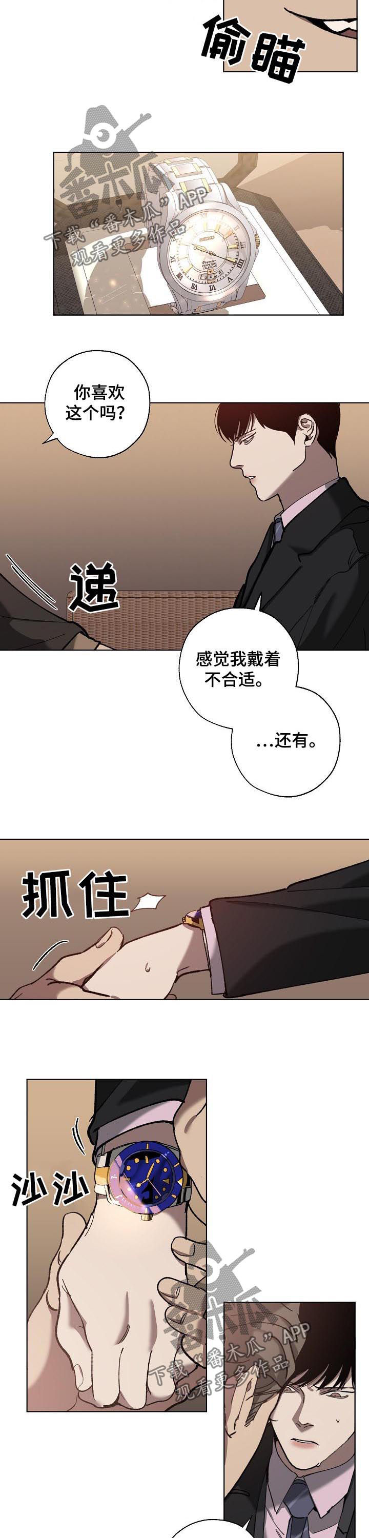 第62章：橄榄枝4