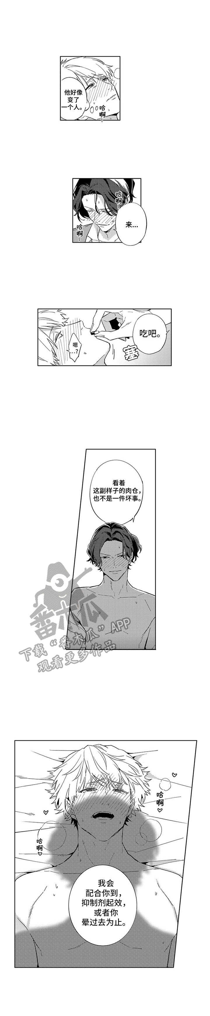 第6章：匹配结果0