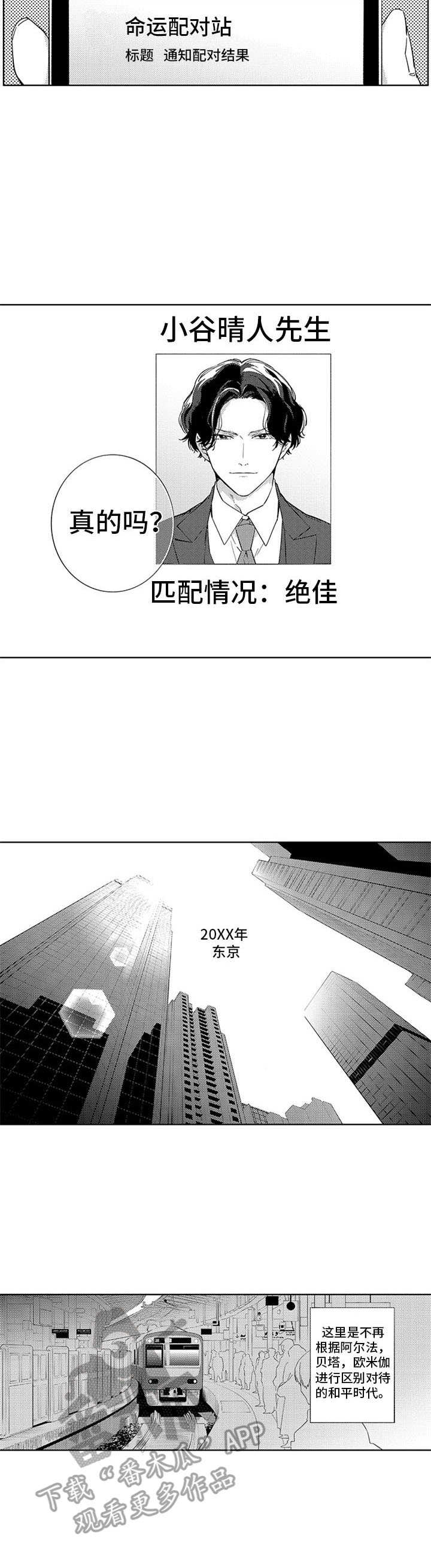 第6章：匹配结果4