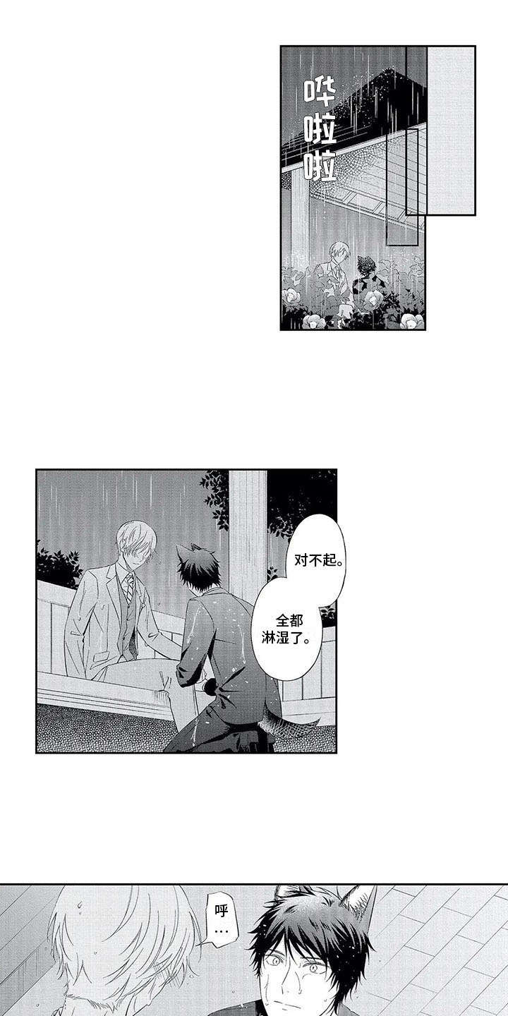 第12章：不再逃避11