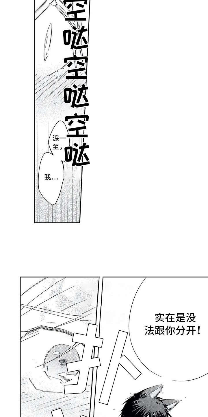 第12章：不再逃避6