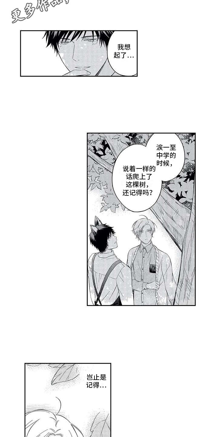 第5章：单纯3