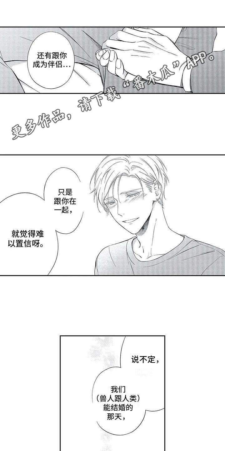 第15章：未来可期6